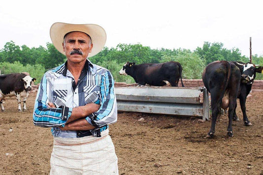 México y su universo de delicias: de cómo los mercados de productores están tomando internet