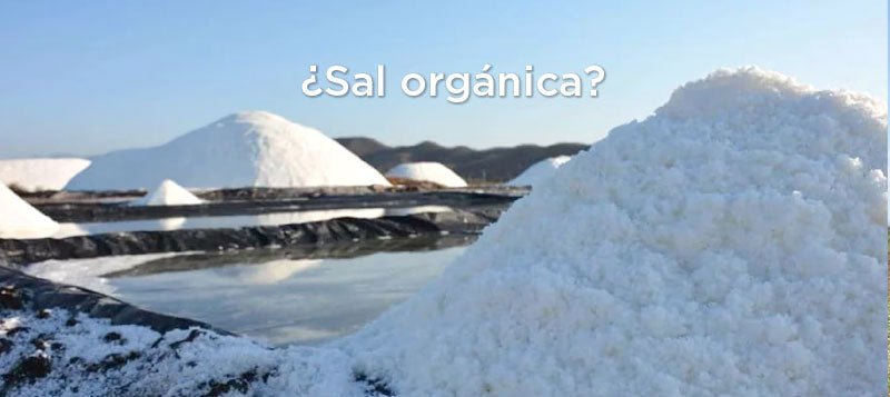 ¿Existe la sal orgánica? – DILMUN
