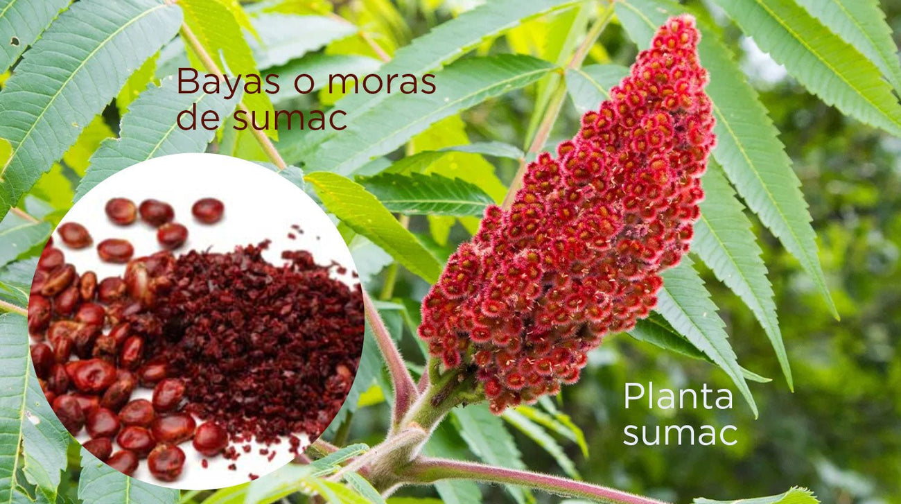El sumac es una super especia y un superalimento