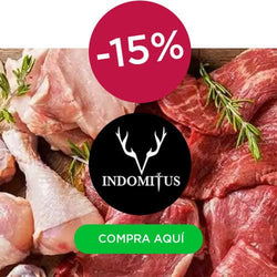 Image without description.