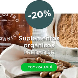 Image without description.