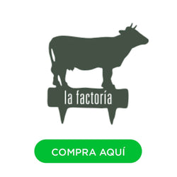 Image without description.