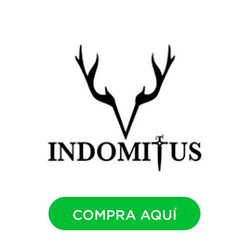 Image without description.