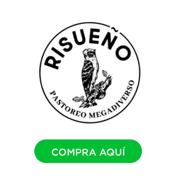 Image without description.