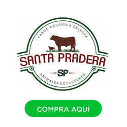 Image without description.