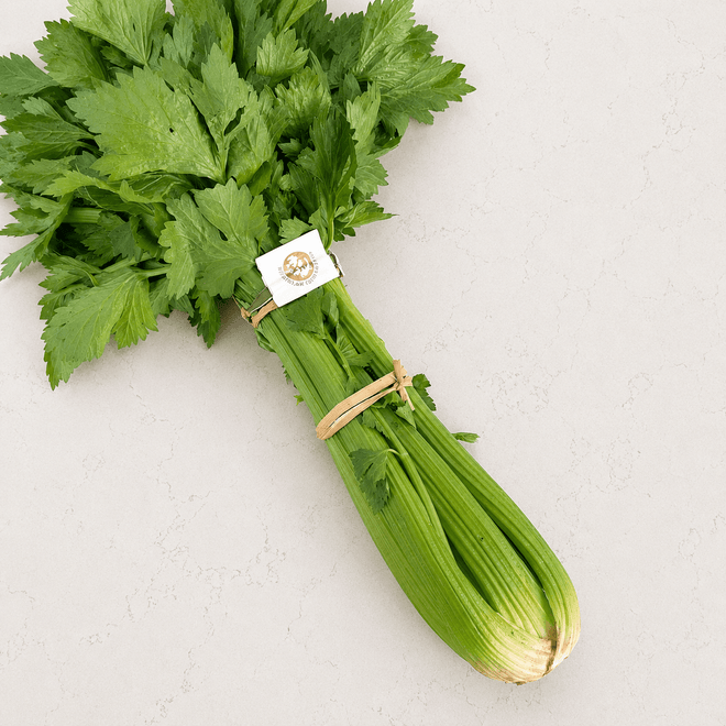 Apio agroecológico – 1 pieza Ruta Lacustre