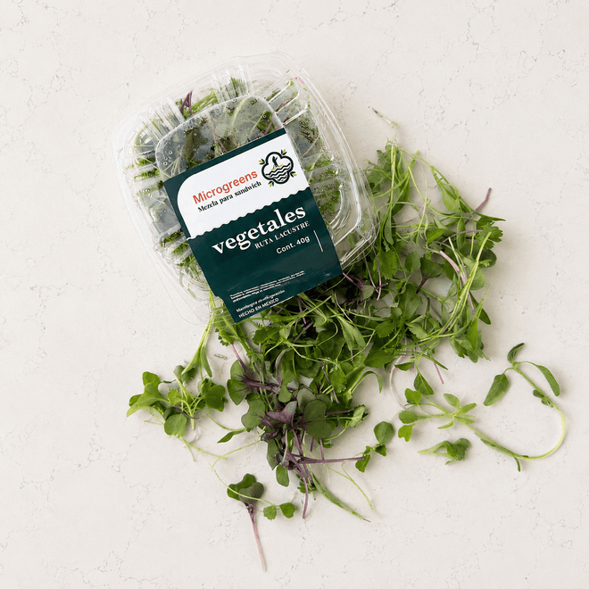 Mezcla de brotes agroecológicos para sandwich – 1 domo Ruta Lacustre