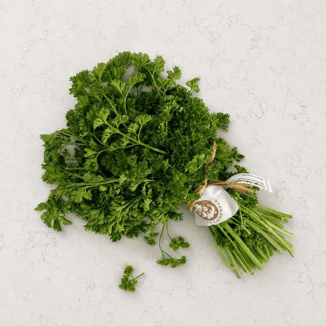 Perejil agroecológico – 1 manojo Ruta Lacustre