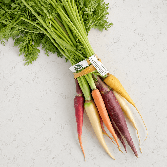 Zanahorias arcoíris agroecológicas – 1 manojo Ruta Lacustre