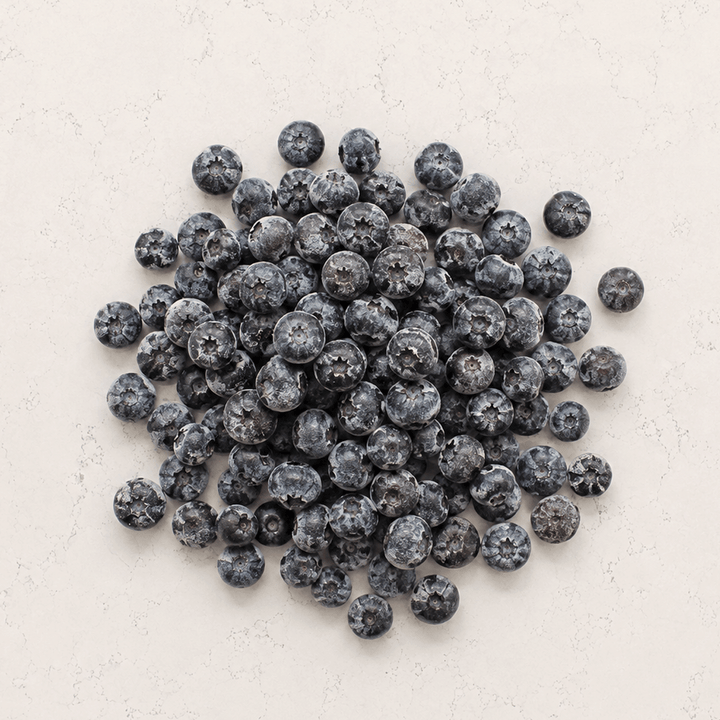Blueberry agroecológico congelado 500g