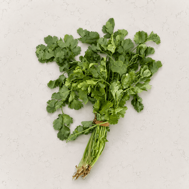 Cilantro agroecológico – 1 manojo Ruta Lacustre
