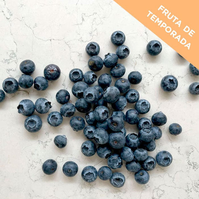 DILMUN Blueberry fresco 500g Nateevo