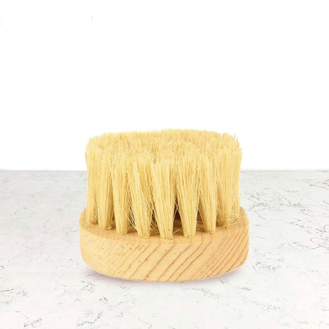 DILMUN Cepillo redondo de Ixtle Biogar