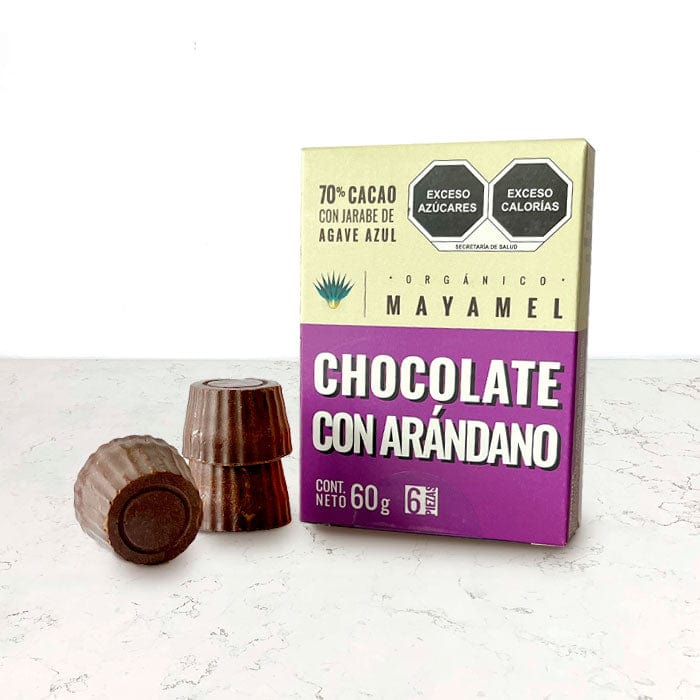 DILMUN Chocolate artesanal orgánico 70% cacao chiapaneco endulzado con jarabe de agave y trocitos con arándano 60g MAYAMIEL
