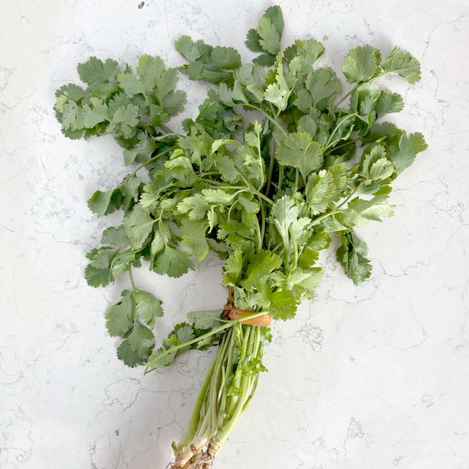 DILMUN Cilantro agroecológico – 1 manojo Ruta Lacustre