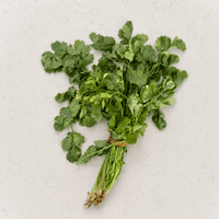 DILMUN Cilantro agroecológico – 1 manojo Ruta Lacustre