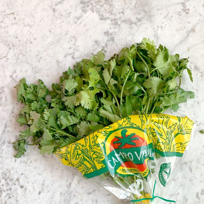 DILMUN Cilantro orgánico 35g Campo Vivo