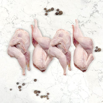 DILMUN Codorniz orgánica en canal 4 piezas Indomitus