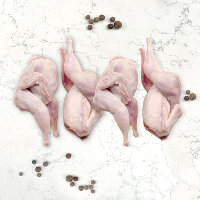 DILMUN Codorniz orgánica en canal 4 piezas Indomitus