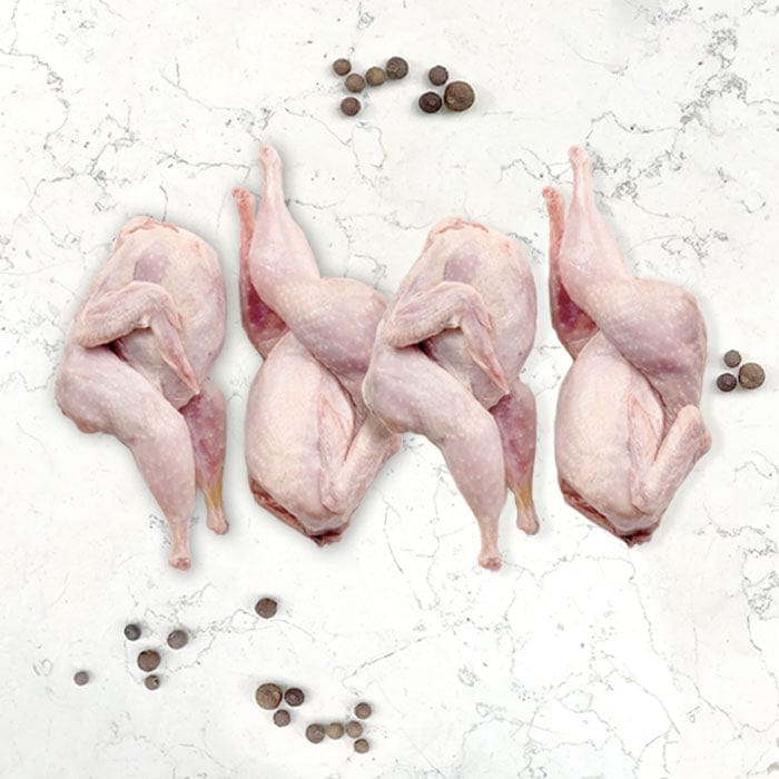 DILMUN Codorniz orgánica en canal 4 piezas Indomitus