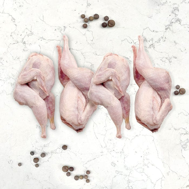 DILMUN Codorniz orgánica en canal 4 piezas Indomitus