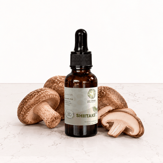 DILMUN Doble extracto de shiitake 30 ml Las Cañadas