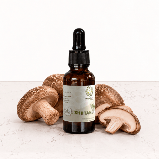 DILMUN Doble extracto de shiitake 30 ml Las Cañadas