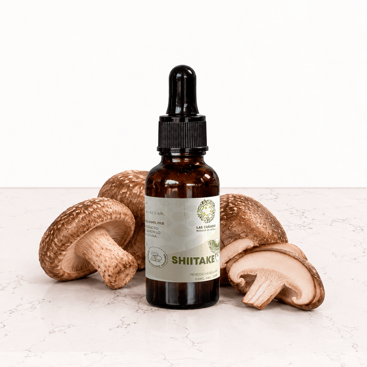 DILMUN Doble extracto de shiitake 30 ml Las Cañadas