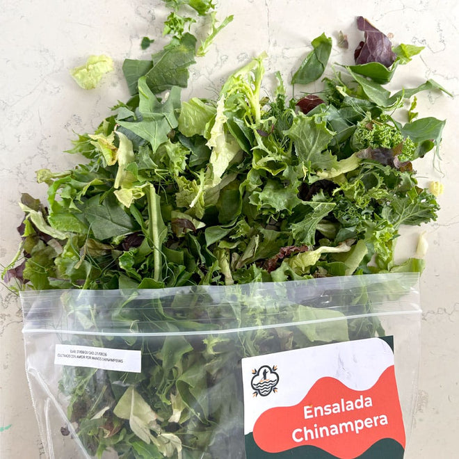 DILMUN Ensalada chinampera lista para comer - 4 porciones Ruta Lacustre