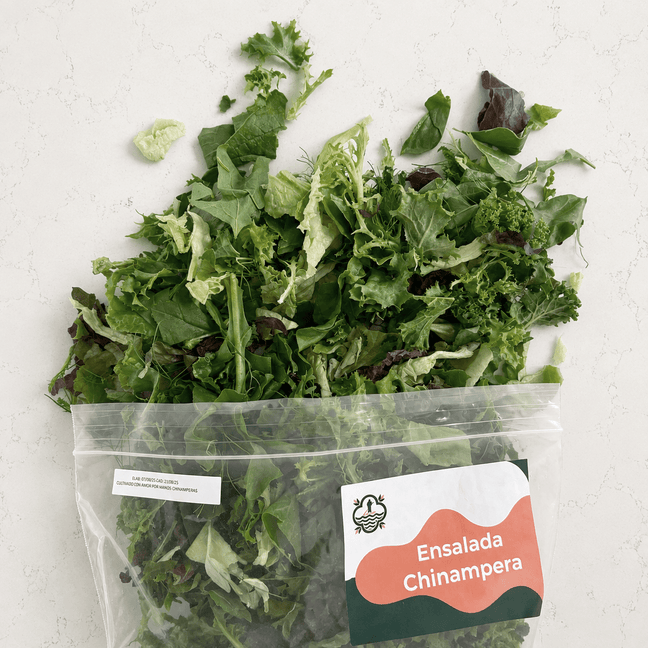 DILMUN Ensalada chinampera lista para comer - 4 porciones Ruta Lacustre