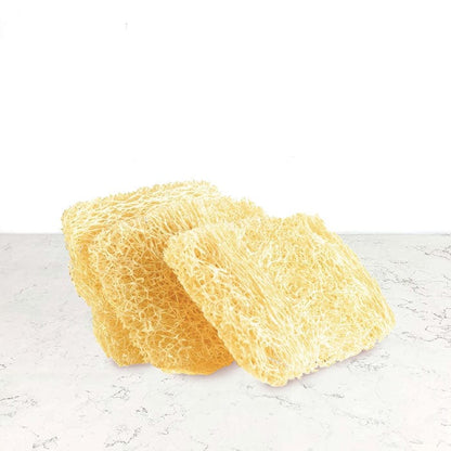 DILMUN Esponja / estropajo ecológico compostable 3 piezas Biogar