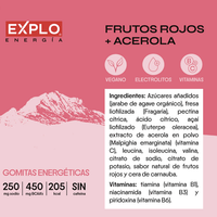 DILMUN Gomitas energéticas de frutos rojos 60g EXPLO