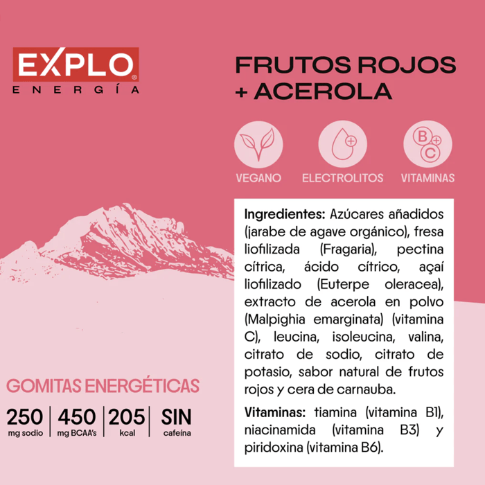 DILMUN Gomitas energéticas de frutos rojos 60g EXPLO