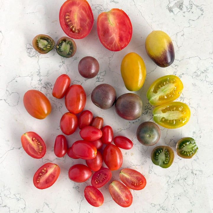 DILMUN Jitomate cherry mix colores agroecológico - 1 domo Proyecto Distinto