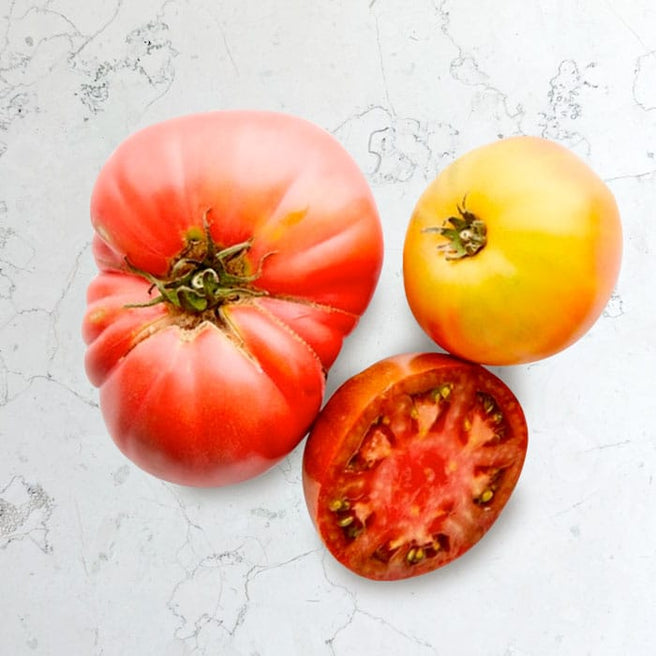 DILMUN Jitomate heirloom agroecológico 5 piezas Proyecto Distinto