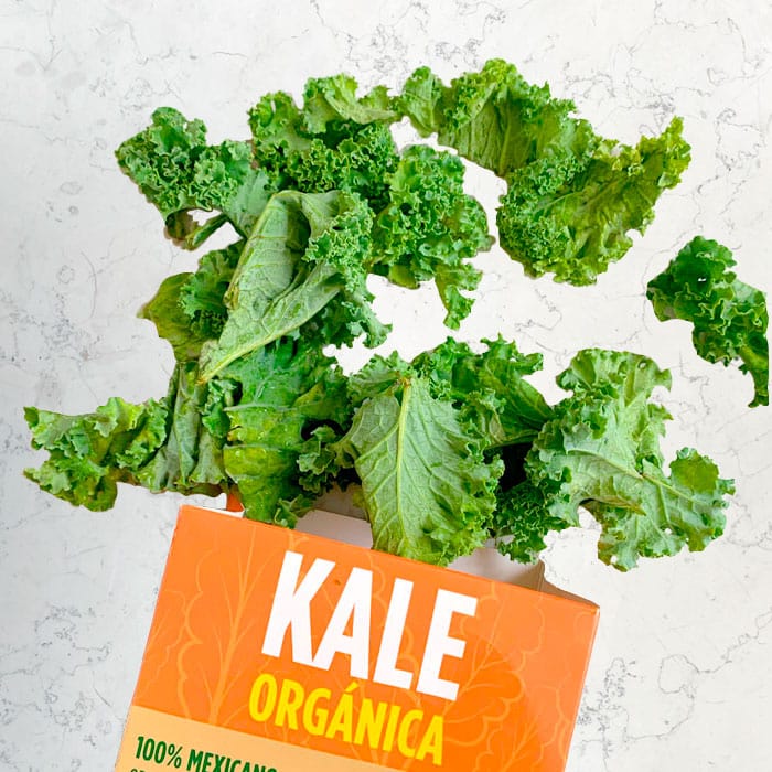 DILMUN Kale orgánico 100g Campo Vivo