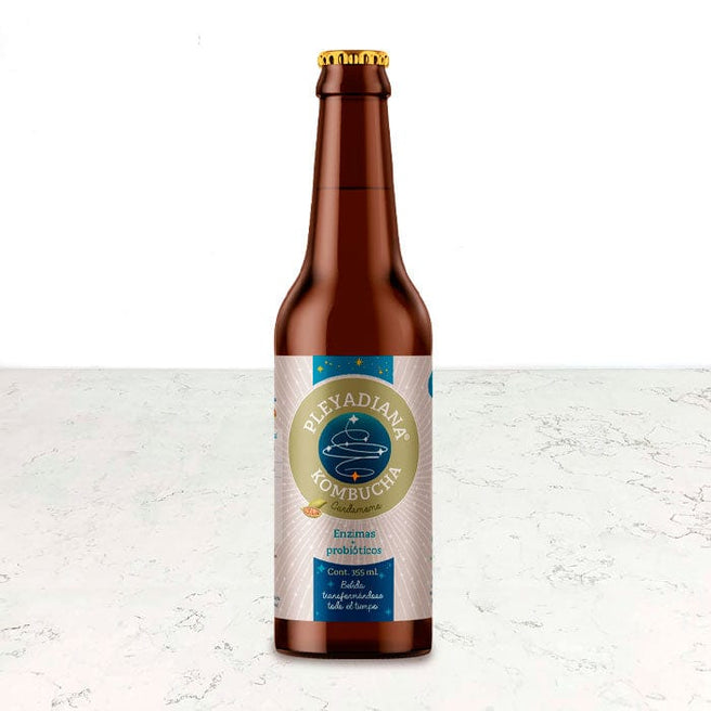 DILMUN Kombucha de jengibre 355ml Pleyadiana