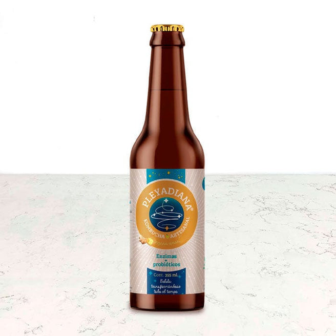 DILMUN Kombucha de jengibre 355ml Pleyadiana