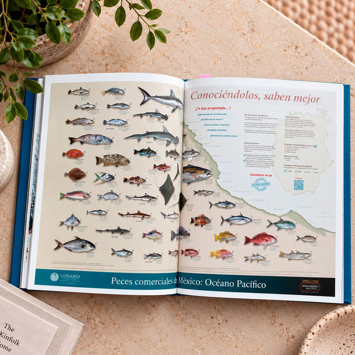 DILMUN Libro: Conociendo a México a través de sus pescados y mariscos