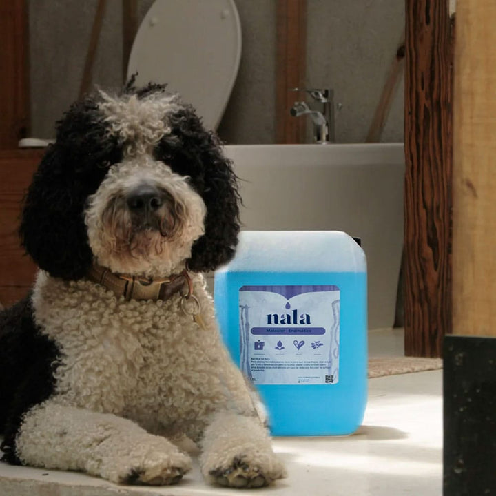 DILMUN Mataolor enzimático bodegradable 5lt Nala