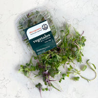 DILMUN Mezcla de brotes agroecológicos para sandwich – 1 domo Ruta Lacustre