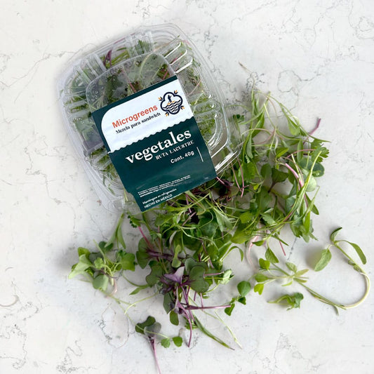 DILMUN Mezcla de brotes agroecológicos para sandwich – 1 domo Ruta Lacustre
