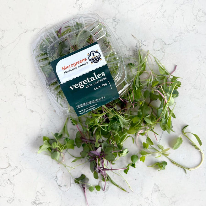 DILMUN Mezcla de brotes agroecológicos para sandwich – 1 domo Ruta Lacustre