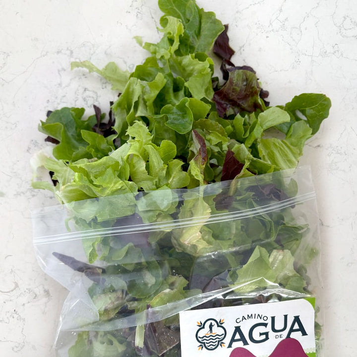 DILMUN Mezcla de lechugas chinamperas lista para comer 200g Ruta Lacustre