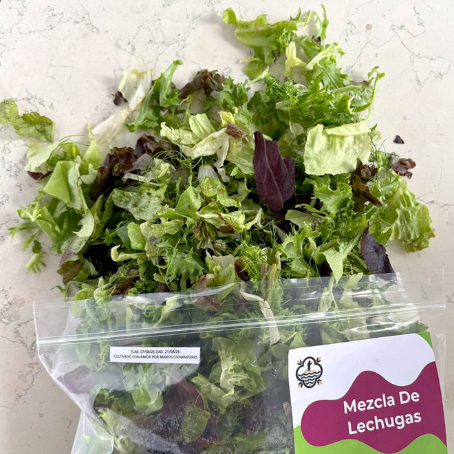 DILMUN Mezcla de lechugas chinamperas lista para comer - 4 porciones Ruta Lacustre