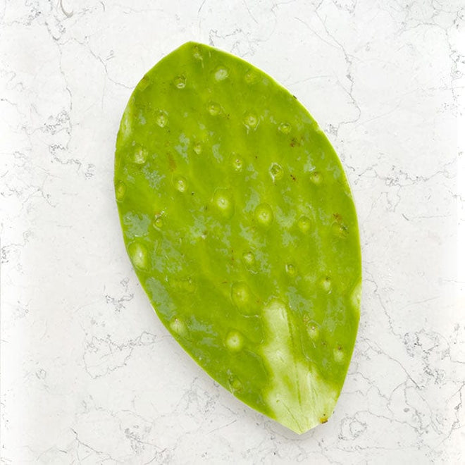 DILMUN Nopal mediano 1 pieza