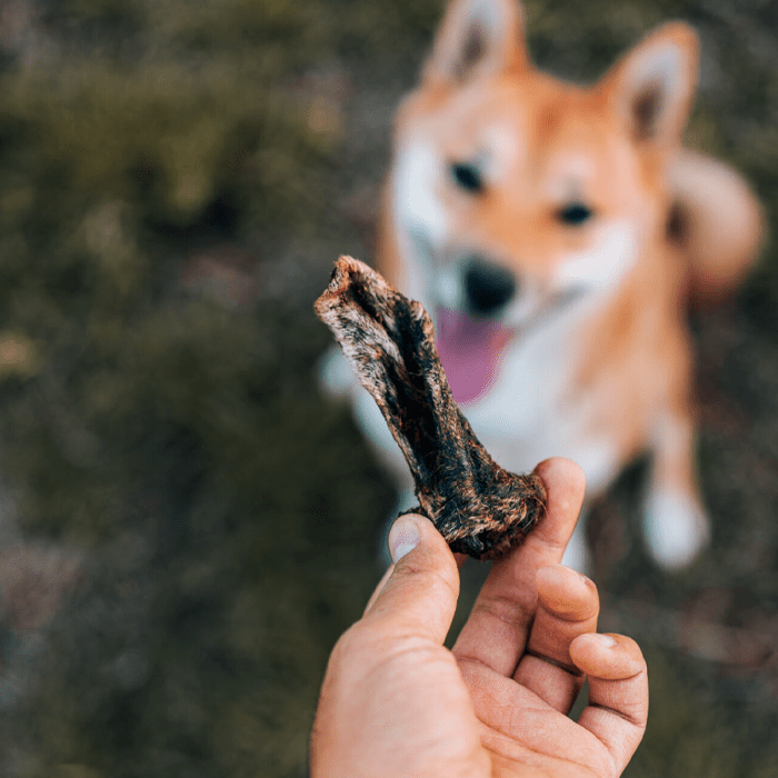 DILMUN Paleo snacks orgánicos para perro 120g Alphavet