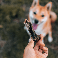 DILMUN Paleo snacks orgánicos para perro 120g Alphavet