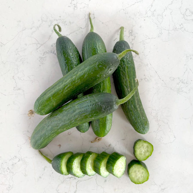 DILMUN Pepino persa agroecológico - 5 piezas Ruta Lacustre