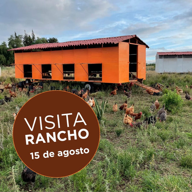 DILMUN Visita a rancho de Tierra de Todos- 15 de agosto